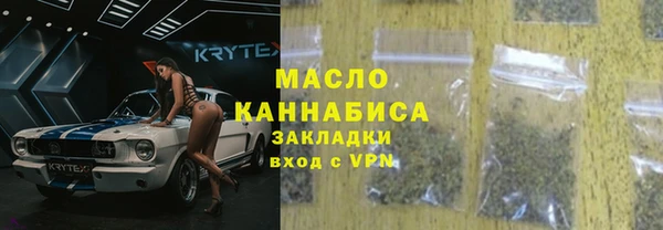 молекула духа Семилуки