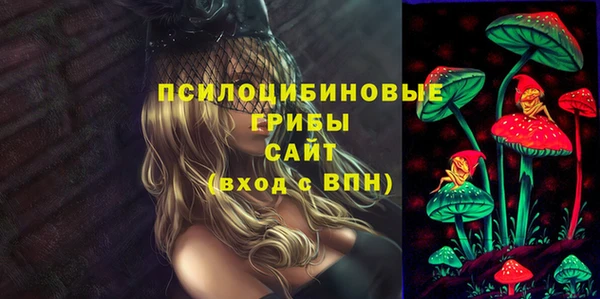 прущие крисы Алексин