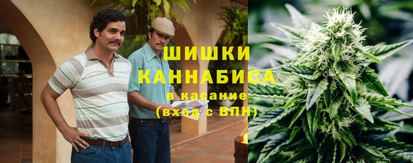 гидропоника Алзамай