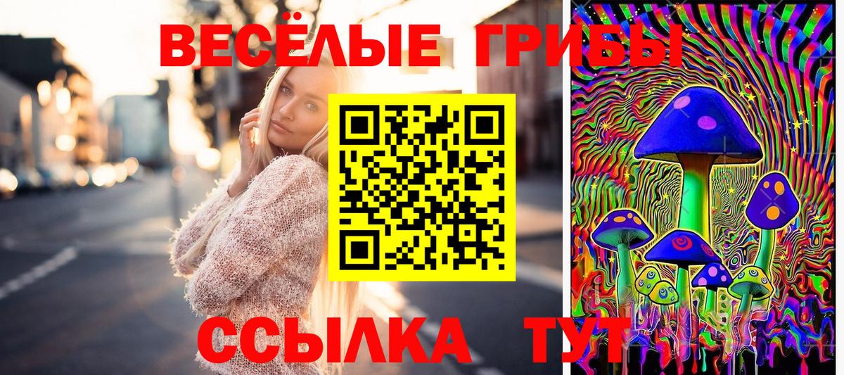 Галлюциногенные грибы мухоморы  Галлюциногенные грибы GOLDEN TEACHER  Балашов  Вход с VPN 