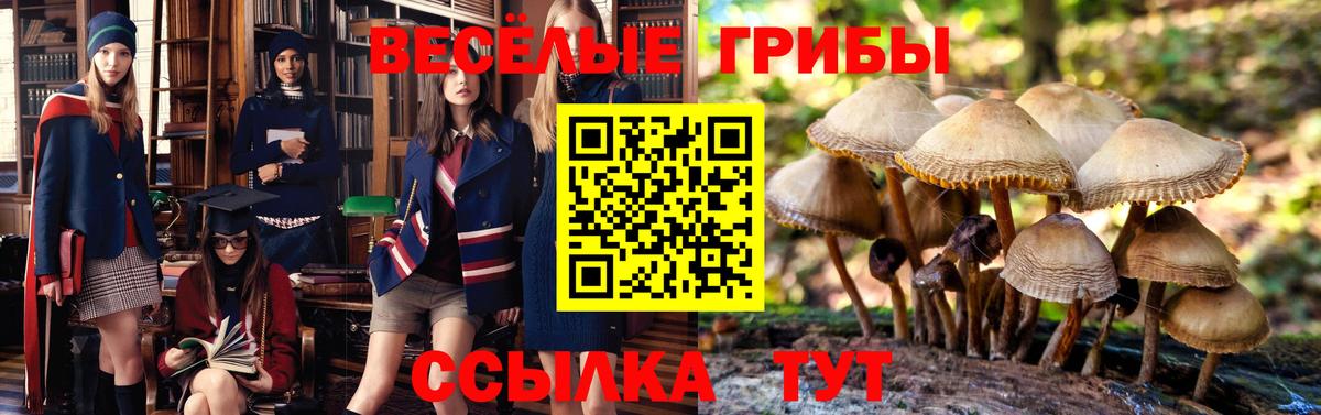 Псилоцибиновые грибы ЛСД Балашов